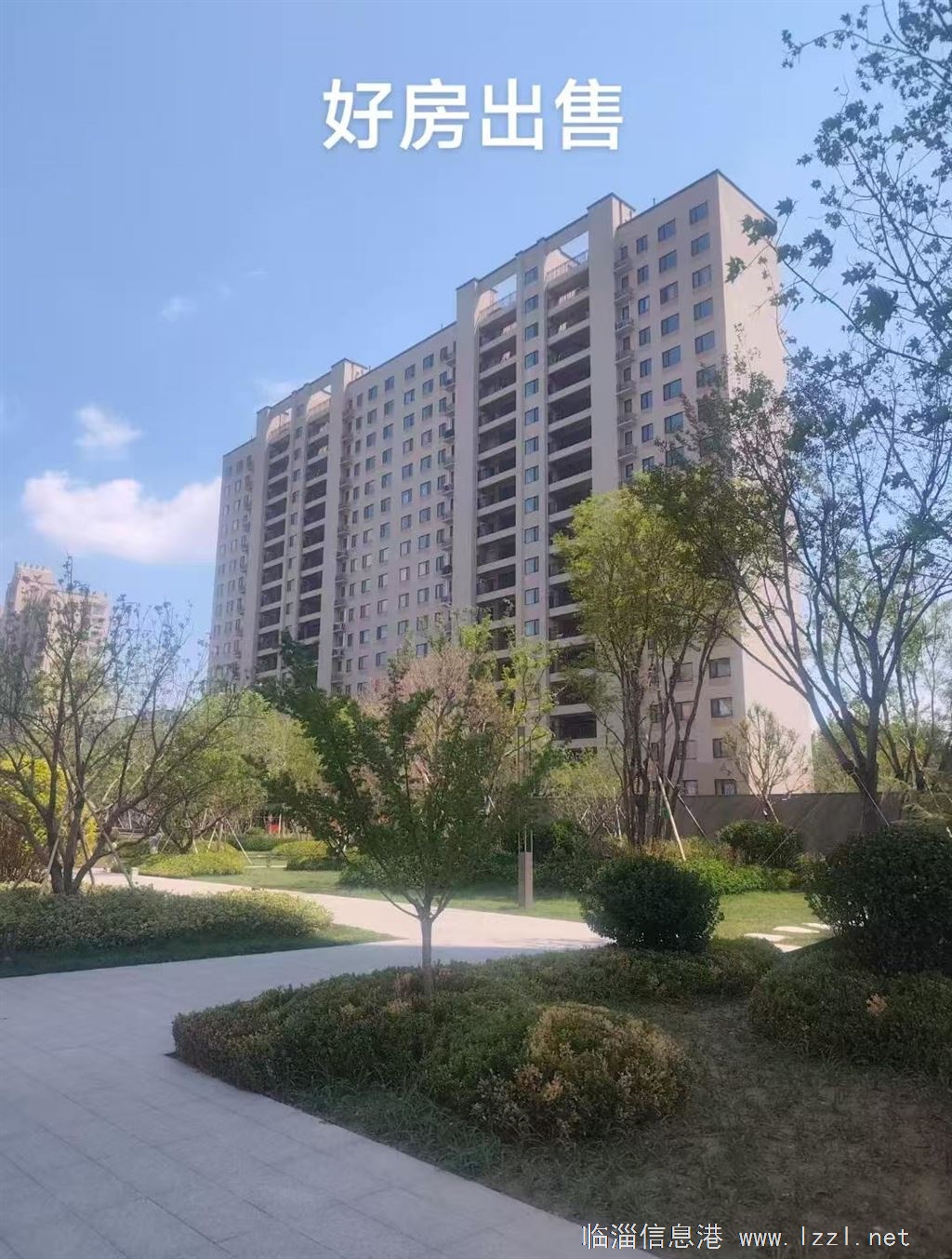 棕櫚城黃金樓層出售